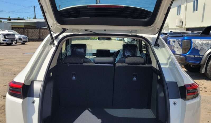 HONDA VEZEL X HUNT 2024 ( WHITE) full