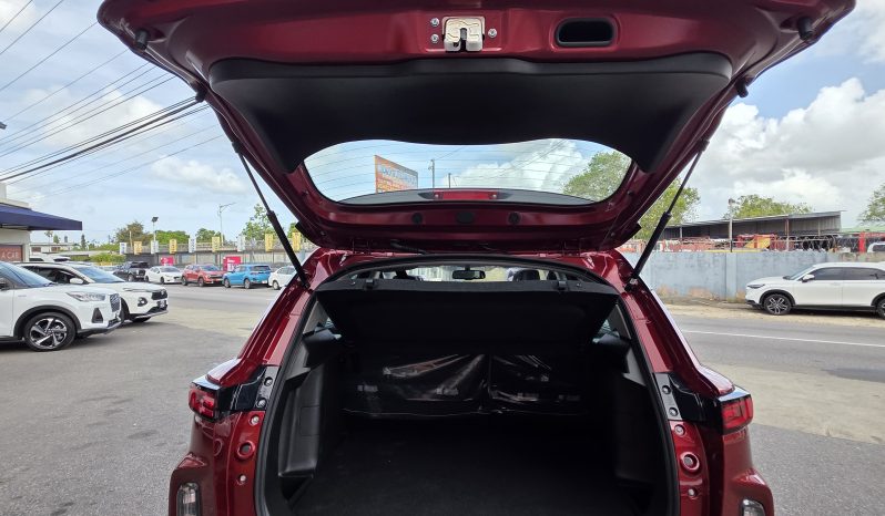 Toyota Hyryder G Red 2025 Brand New full